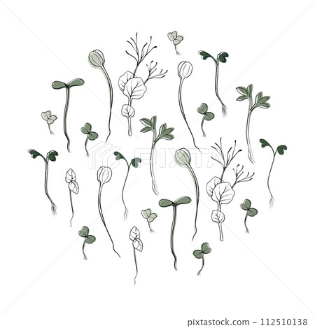 hand drawn microgreens vector illustration. Contour sprouts of watercress, spinach, mustard cress and peas, radish, sunflower, basil plant. Set for menu, logo, microelements, healthy lifestyle hand drawn microgreens vector illustration. Contour sprouts of watercress, spinach, mustard cress and peas, radish, sunflower, basil plant. Set for menu, logo, microelements, healthy lifestyle 112510138