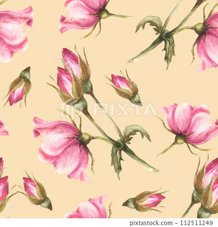 Watercolor pink wild rose hip branch with buds, flowers and leaves, dog or brier rose im bloom. Botanical floral seamless pattern for fabric print. Hand drawn illustration isolated coloured background 112511249
