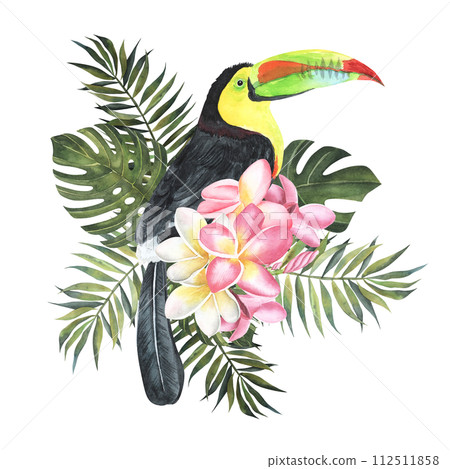 toucan tropical bird hand drawn watercolor illustration with monstera and palm leaves . Isolated on white background. Plumeria or Frangipani. Close up bunch pink-red with palm , monstera leaves toucan tropical bird hand drawn watercolor illustration with monstera and palm leaves . Isolated on white background. Plumeria or Frangipani. Close up bunch pink-red with palm , monstera leaves 112511858
