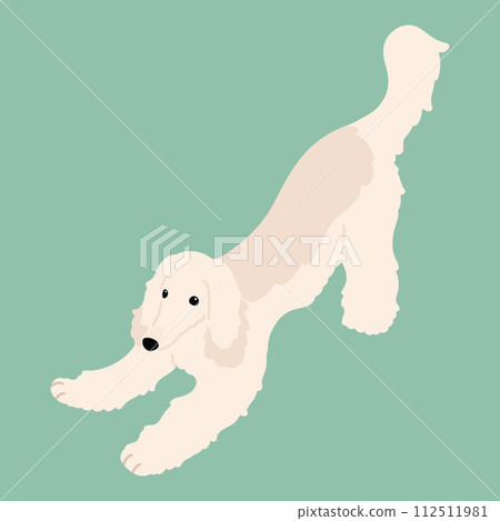 A hand-drawn illustration of a simple and cute Afghan hound that invites you to play.No main lines. 112511981