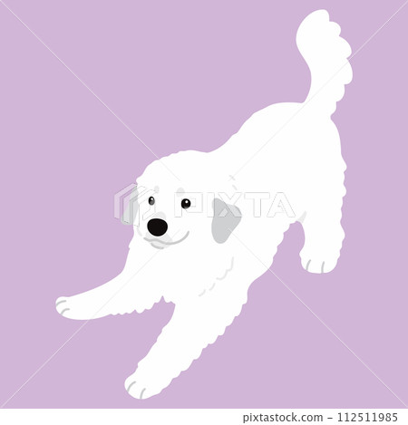 A simple and cute hand-drawn illustration of a Great Pyrenees that invites you to play.No main lines. 112511985