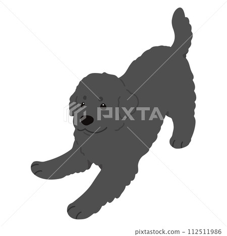 簡單可愛的紐芬蘭手繪插畫，邀請你來玩。沒有主線。 112511986