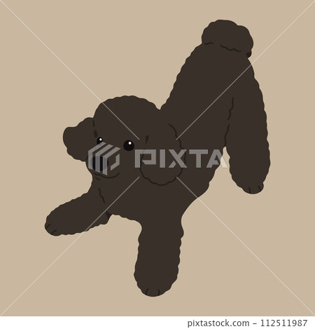 A hand-drawn illustration of a simple and cute black poodle that invites you to play.No main lines. A hand-drawn illustration of a simple and cute black poodle that invites you to play.No main lines. 112511987