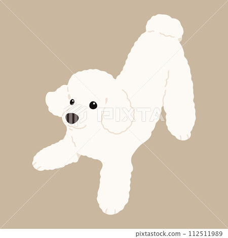 A hand-drawn illustration of a simple and cute white poodle that invites you to play.No main lines. A hand-drawn illustration of a simple and cute white poodle that invites you to play.No main lines. 112511989