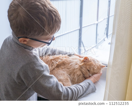A child, a boy plays with his favorite fluffy red cat by the window. A child strokes a cat. Attachment between children and pets. The funny life of cats at home. 112512235