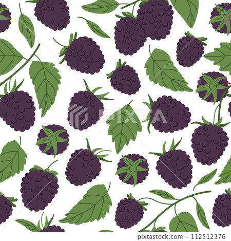 Blackberries seamless pattern. Forest blackberry endless design, fresh berry for healthy nutrition flat vector background illustration. Hand drawn blackberry pattern 112512376
