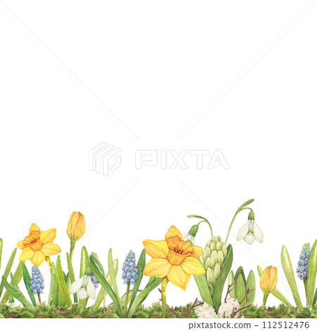 Watercolor spring flowers border Daffodils, daisy, snowdrop muscari hand drawn illustration. Seamless border perfect for packaging greeting cards invitations Watercolor spring flowers border Daffodils, daisy, snowdrop muscari hand drawn illustration. Seamless border perfect for packaging greeting cards invitations 112512476