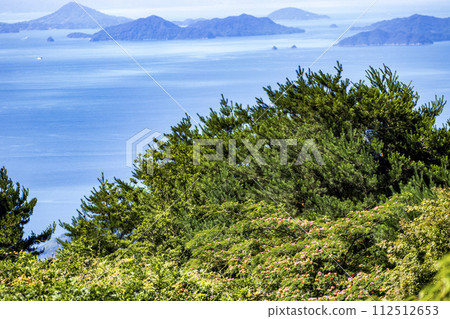 野呂山，瀨戶內海國立公園，山頂上盛開的日本樹花，俯瞰瀨戶內海。 112512653