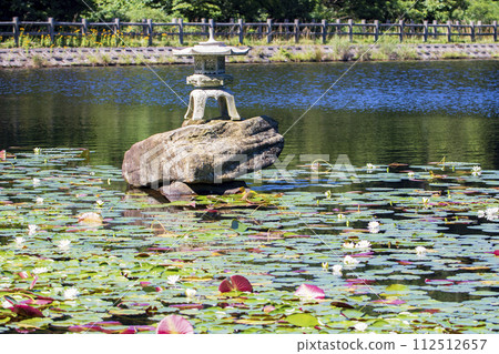 瀨戶內海國立公園野呂山頂的冰池裡盛開的睡蓮和燈籠 112512657