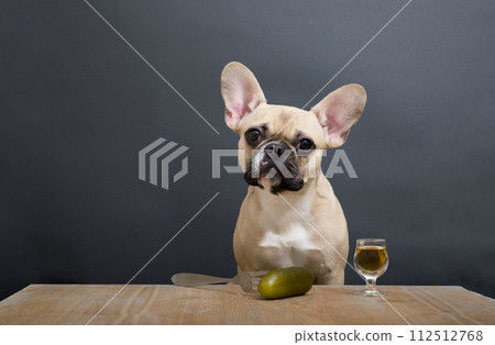 An adorable bulldog dog sits lonely at a table with a filled shot glass and a pickle as an appetizer. 112512768