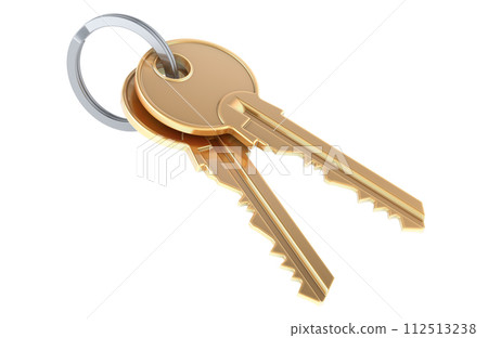 Two Keys on a keyring, 3D rendering Two Keys on a keyring, 3D rendering 112513238