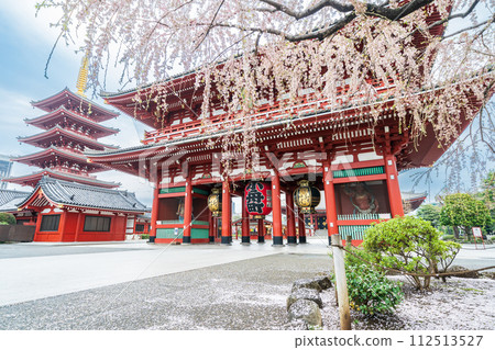 「東京」淺草寺 - 垂枝櫻花的風景 - 春天的淺草寺 112513527