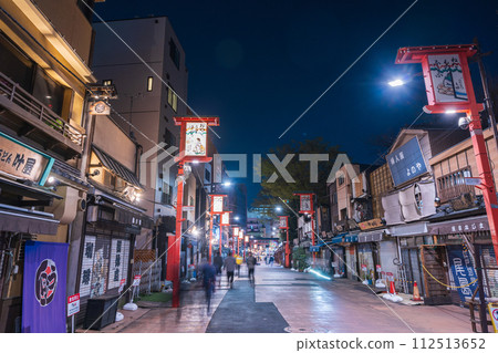 "Tokyo" Asakusa/Denpoin Street night view "Tokyo" Asakusa/Denpoin Street night view 112513652