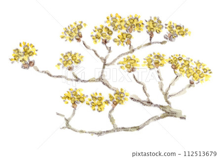 冬天到早春植物的水彩插圖，一种红玉髓，開滿黃色的小花。 112513679