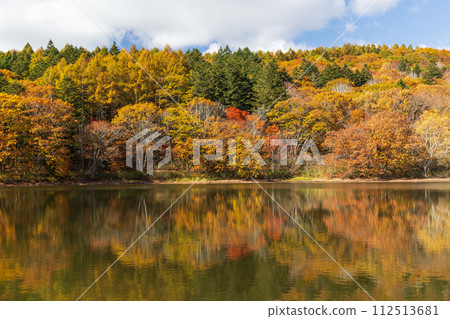 秋天的長野,紅葉盛時的戶隱與琴池 秋天的長野,紅葉盛時的戶隱與琴池 112513681