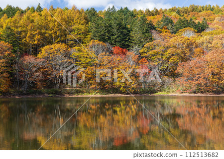 秋天的長野，紅葉盛時的戶隱與琴池 112513682