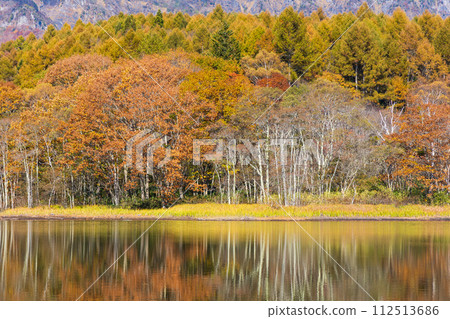 秋天的長野,紅葉盛時的戶隱與琴池 秋天的長野,紅葉盛時的戶隱與琴池 112513686