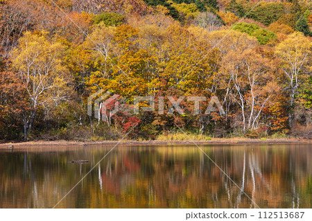 秋天的長野,紅葉盛時的戶隱與琴池 秋天的長野,紅葉盛時的戶隱與琴池 112513687