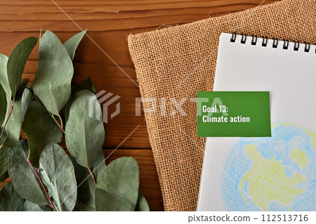 SDGs goal, Goal 13:Climate action SDGs goal, Goal 13:Climate action 112513716