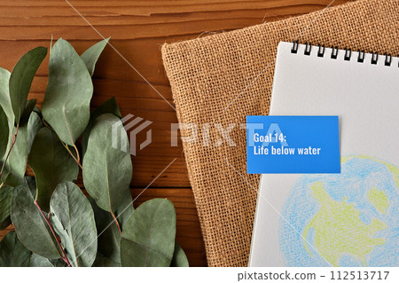 SDGs goal, Goal 14: Life below water 112513717