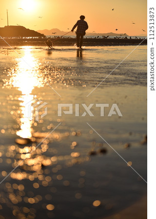 Coast stained at sunset 112513873