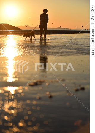play in the sea at dusk 112513875