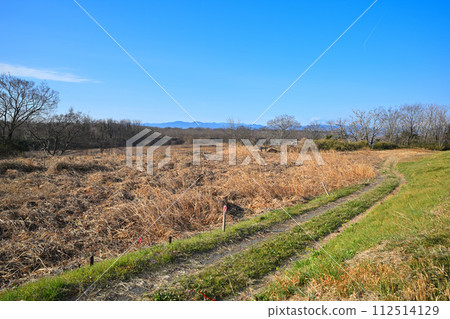 Winter scenery from the Arakawa embankment waiting for spring, upstream of Arakawa, Kumagaya City 112514129