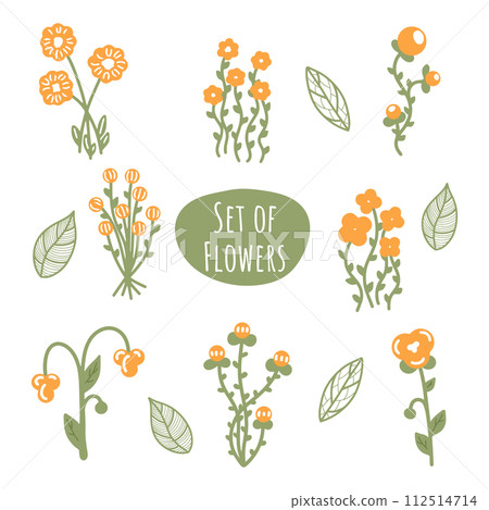 Set of orange flowers with vintage leaves. Spring and summer collection. Variety of orange flowers  112514714