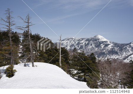 Iwasuyama in winter 112514948