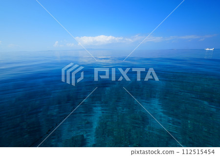 Ishigaki Island 112515454