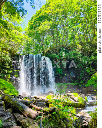 Karasawa Falls (Sugadaira, Ueda City) 112515813