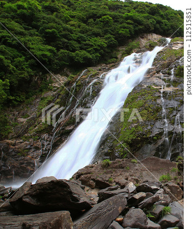 Waterfall of Yakushima Okawa Waterfall of Yakushima Okawa 112515851