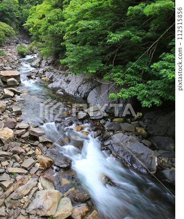 屋久島大川瀑布 屋久島大川瀑布 112515856