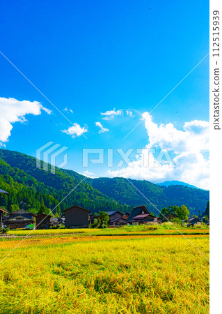 Shirakawago Goseisaku Village 112515939