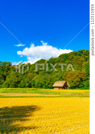Shirakawago Goseisaku Village 112515959