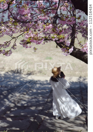 櫻花下的女子 / 盛開賞櫻的女子 112516484