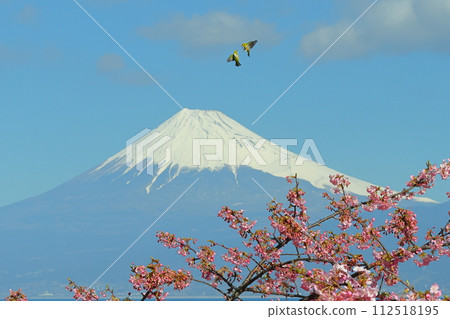 靜岡縣沼津市井田市 112518195