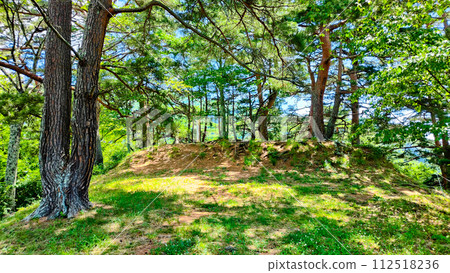 Mr. Sanada Book Castle Ruins Mr. Sanada Book Castle Ruins 112518236