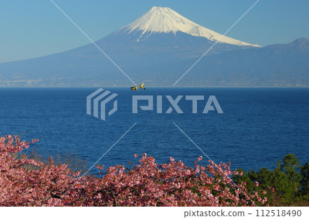 Ida, Numazu City, Shizuoka Prefecture View of the snow-capped Mt. 112518490