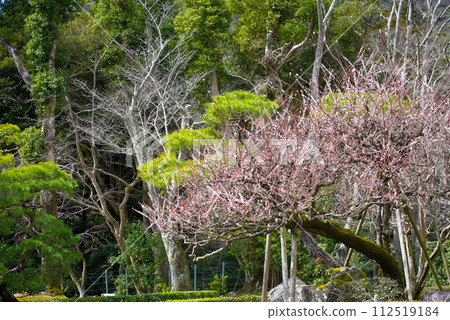 Ise Jingu scenery scenery Ise Jingu scenery scenery 112519184