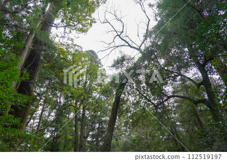 伊勢神宮風景風光 伊勢神宮風景風光 112519197