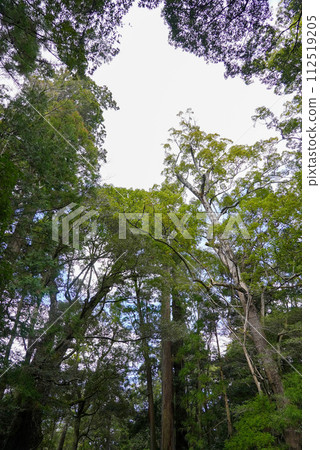 伊勢神宮風景風光 伊勢神宮風景風光 112519205