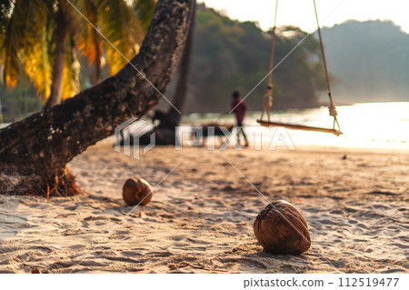 Palm-tree beaches and relaxation areas on the island 112519477