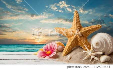 An image of a sandy beach, shells, and starfish 112519641