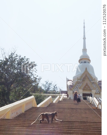 華欣猴子 華欣猴子 112520076