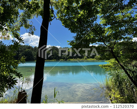 透過樹林看到葵池 112520370