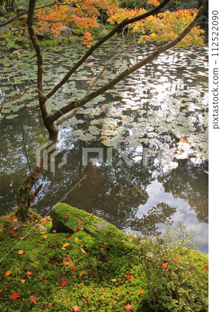 京都南禪寺天守庵的秋葉 京都南禪寺天守庵的秋葉 112522090