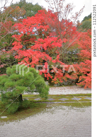 Autumn leaves in Kyoto Nanzenji Temple Tenju-an Autumn leaves in Kyoto Nanzenji Temple Tenju-an 112522091