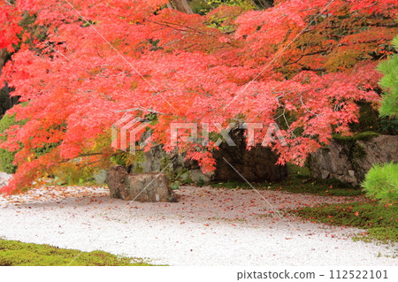 Autumn leaves in Kyoto Nanzenji Temple Tenju-an Autumn leaves in Kyoto Nanzenji Temple Tenju-an 112522101
