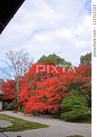 京都南禪寺天守庵的秋葉 京都南禪寺天守庵的秋葉 112522103